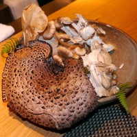 いまここ - 秋田産天然茸