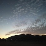 土居のいもたき - 