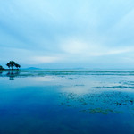 麺屋 號tetu - 琵琶湖‼︎