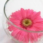 La Cuisine Restaurant - 