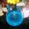 NONARSBAR