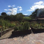 Mugaritz - レストランの横には菜園があります。