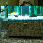 山吹 - トイレには金魚が。。