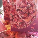 Nicolai Bergmann NOMU - 