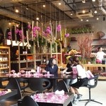 Nicolai Bergmann NOMU - 