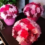 Nicolai Bergmann NOMU - 