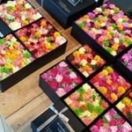 Nicolai Bergmann NOMU - 