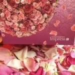 Nicolai Bergmann NOMU - 