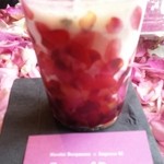 Nicolai Bergmann NOMU - 