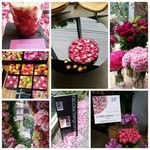 Nicolai Bergmann NOMU - 