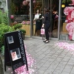 Nicolai Bergmann NOMU - 