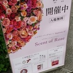 Nicolai Bergmann NOMU - 