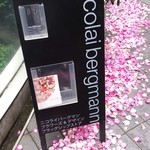 Nicolai Bergmann NOMU - 