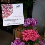 Nicolai Bergmann NOMU - 