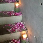 Nicolai Bergmann NOMU - 