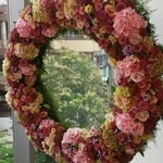 Nicolai Bergmann NOMU - 