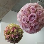 Nicolai Bergmann NOMU - 