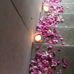 Nicolai Bergmann NOMU - 