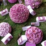 Nicolai Bergmann NOMU - 