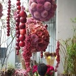 Nicolai Bergmann NOMU - 