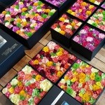 Nicolai Bergmann NOMU - 