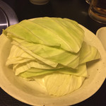 京松蘭 - キャベツ