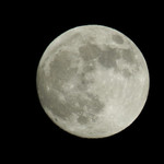 Mameta Mamezou - 大きな月」（第三回投稿）