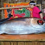 大間港特設会場 - 解体される大間マグロ