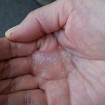 大間港特設会場 - マグロのコラーゲン