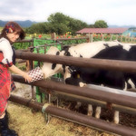 函館牛乳 あいす118  - 