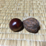 民宿　フィールドノート - 隣のトトロ的に！