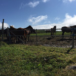 民宿　フィールドノート - 荒川高原を通って遠野方面へ！