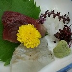 Sagi no Yu Onsen Yume Land Shirasagi - お刺身