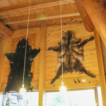 白水湖畔ロッジ - リアルくまモン☆