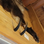 白水湖畔ロッジ - ベアクロー☆