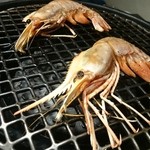 焼肉屋 かねちゃん 至粋亭 - 海鮮焼きからボタン海老