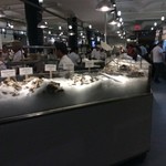Lobster Place Seafood Market - 