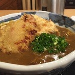 うどん上々 - 鶏天カレーうどん
