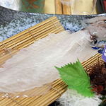 一本釣りヤリイカの活き造り