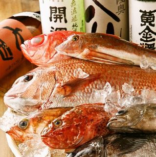 Echigoya Heiji - 【築地仲卸】早朝買い付けた旬の鮮魚を毎日お届け。