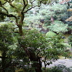 茶寮 宝泉 - 日本庭園（室内から）