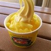 Dole Plantation