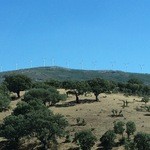 Pasteleria Limon y Menta - 2015年9月21日。アビラからセゴビアまでの車中。風力発電の風車が並びます。
