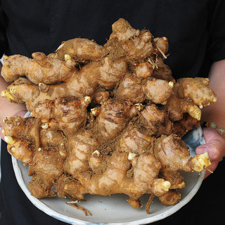 女子会にぴったり 大阪市福島区でおすすめのグルメ情報をご紹介 食べログ