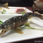 すし豊 - 店主の釣った鮎は美味し！
