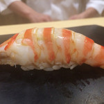 鮨 はしもと - 2015/9_にぎり⑧車海老