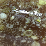 Yuuraku - 生姜とちゃんぽんのダシの効いたスープ