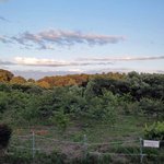 食事処新道 - 周りの風景