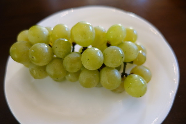 滝口観光果樹園 - 天童（その他）の写真