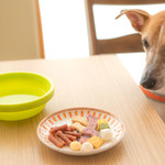 ドッグカフェ＆レストラン ブルスケッタ